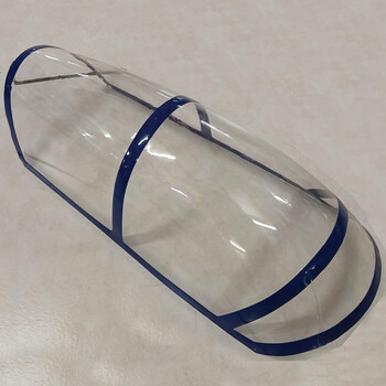 Canopy with Blue Frame