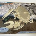 Puzzle common shore crab slw